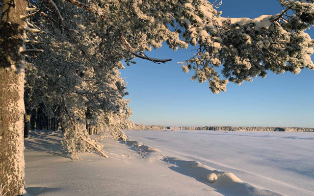 Гостевой Дом Вилла Ранду