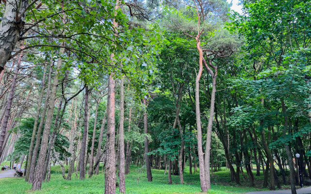 Квартира на Комсомольском Переулке 3