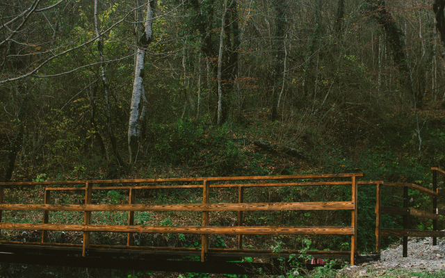 A-Frame Forrest Chalet