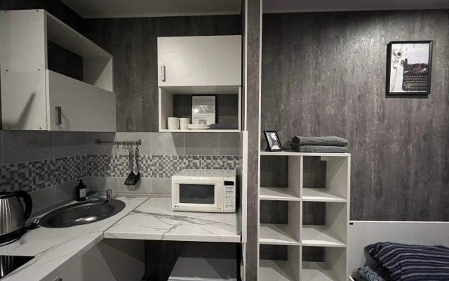 Sovremennaya Studiya V Lopatino Flat