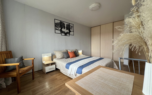 Апартаменты 1-ком Победы 23-5 Сахалин центр КакДома