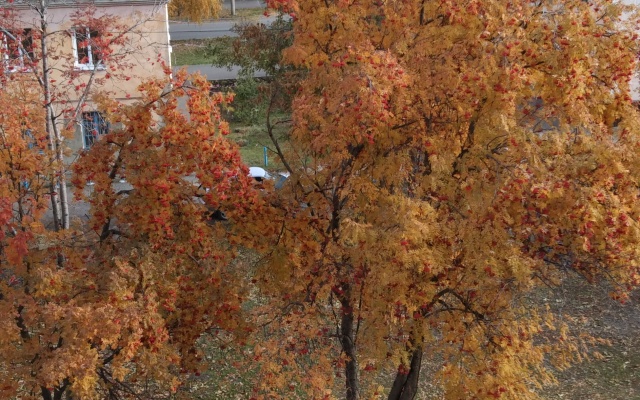 Квартира Пятнашка