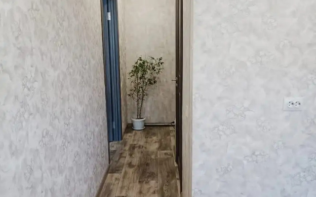 U Zhd Vokzala Flat