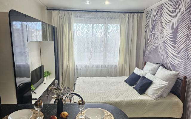 Квартира уютная студия