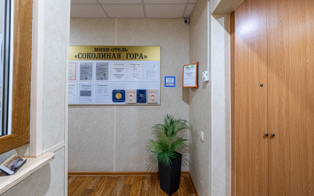 Mini-Hotel Sokolinaya Gora