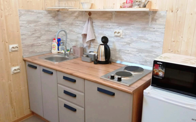 Квартира Гагарина Спутник