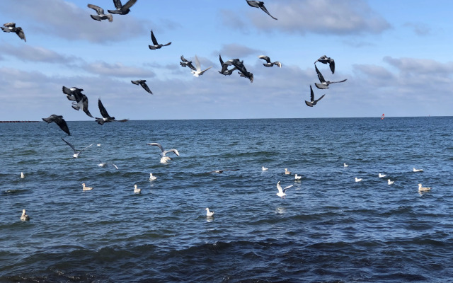 Квартира Baltic house