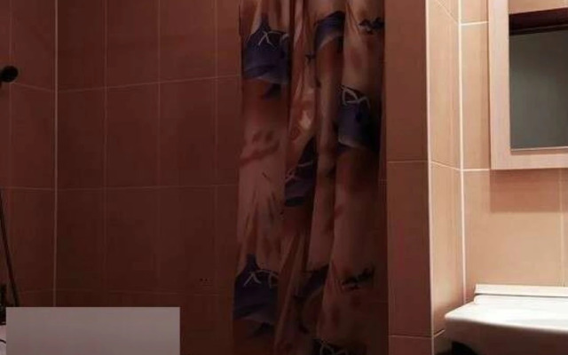 S Dobroy I Myagkoy Enepgetikoj Amango Apartments