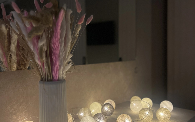 Квартира Евродвухкомнатая стильная квартира