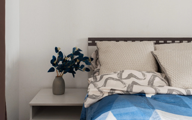 Квартира Апартаменты у метро Ломоносовская с видом на парк