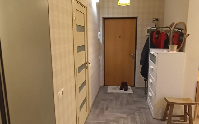 Studiya V Brusnike Flat