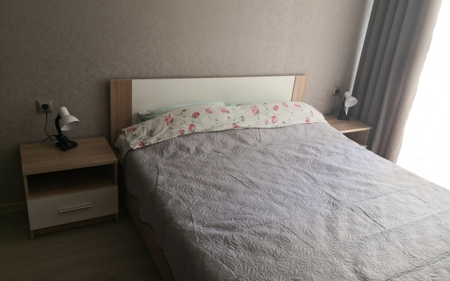 Апартаменты Отрадное 101 Светлогорск