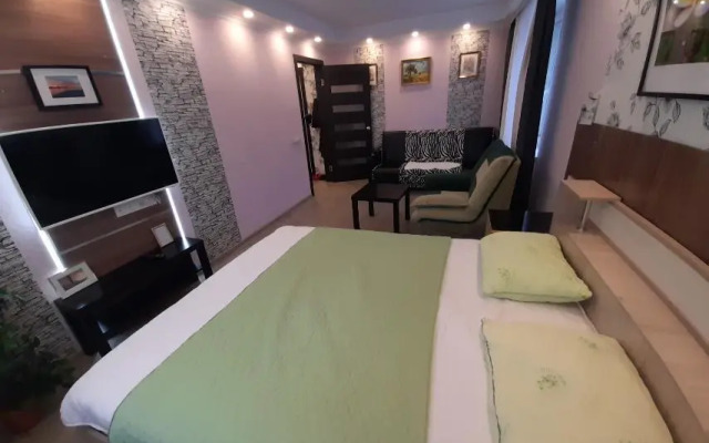 Апартаменты с 1 комнатой недалеко от проспекта Ленина (КВАРТИРА51)