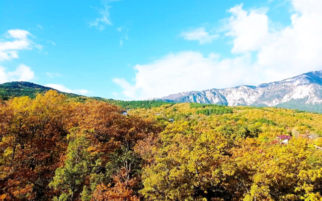 Квартира-студия с панорамным видом на горы