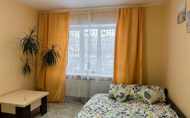 Ovb Tolmachevo Uyutnaya Studiya dlya Vzroslykh i Detey Apartments