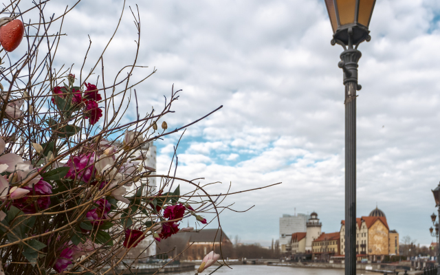 Апартаменты Kenig Holidays в центре в Рыбной Деревне