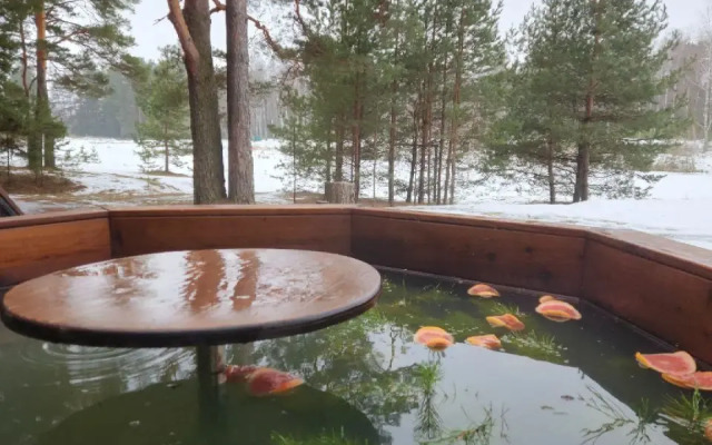 База отдыха Vonavi Village