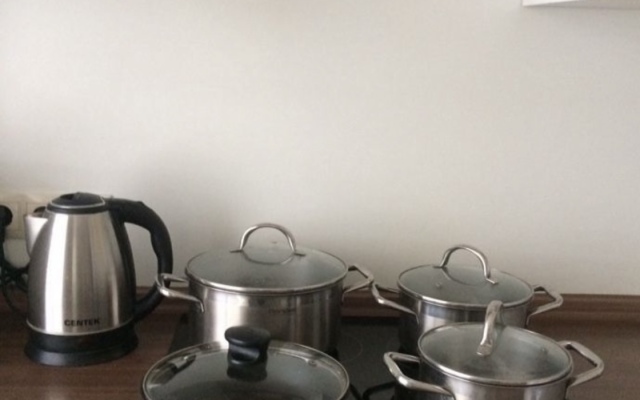 Uyutnaya kvartira v tsentre goroda Flat