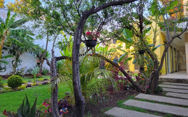 Отель Jardines De Luz