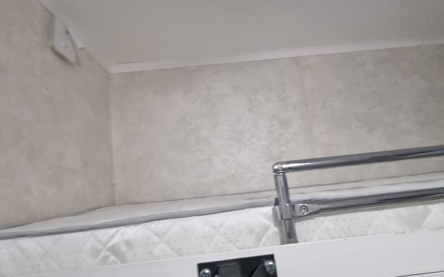Na Vdnkh s Vidom na Ostankinskuyu Bashnyu Apartments