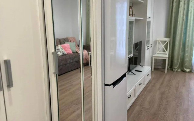 Studiya Okolo Ostrova Mechty I Parka Kolomenskoye Flat