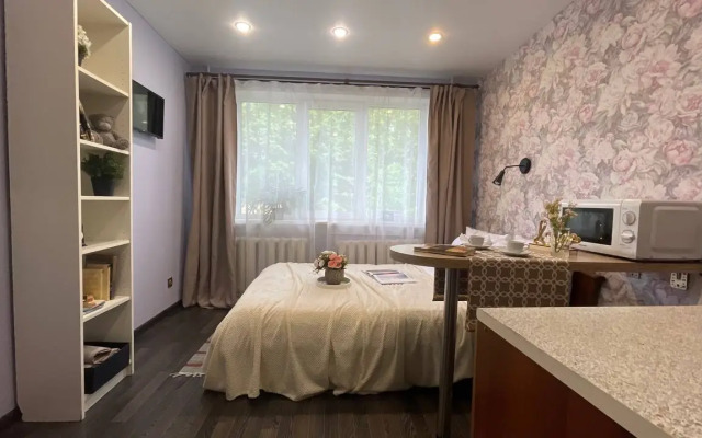 Апартаменты Yousinn Гоголя 29 студия 2