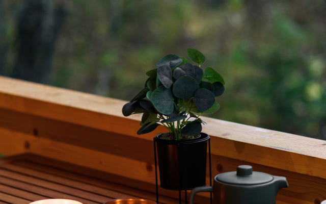 Glemping Iskona Dacha Glamping