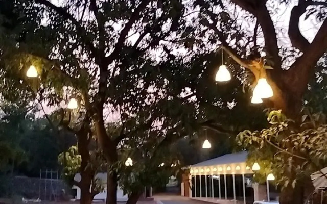 Nature's Cove Resort