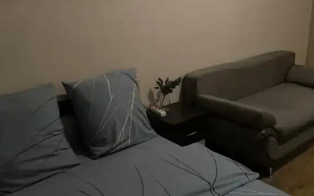 Квартира Ареал Однушка Аэропорт Тц Солнечный