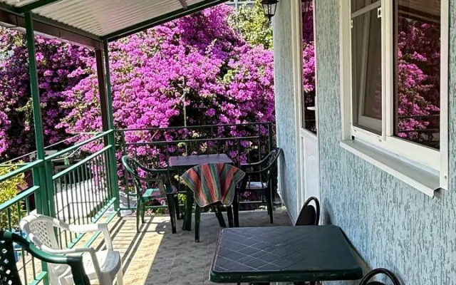 Rummi Guest house
