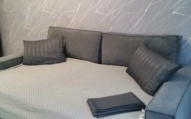 Studiya V Tsentre Goroda Ryadom S Zhd Vokzalom Flat