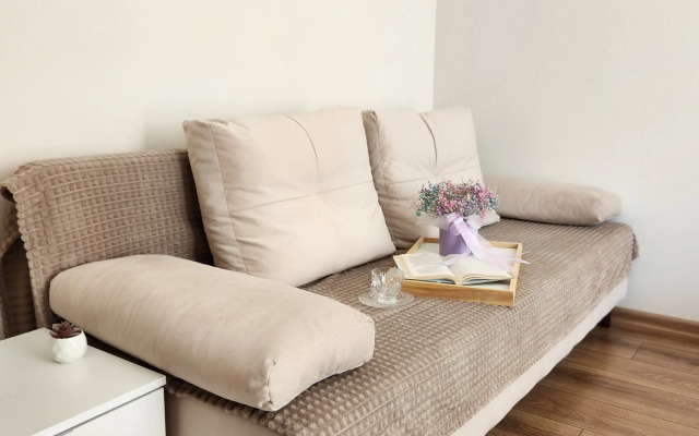 Na Mechnikova Flat