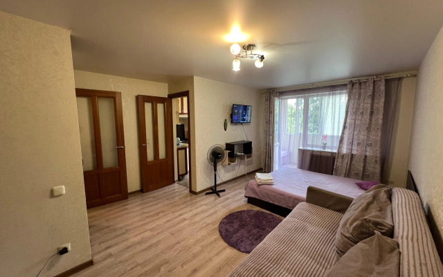 Na Prospekte Lenina Flat