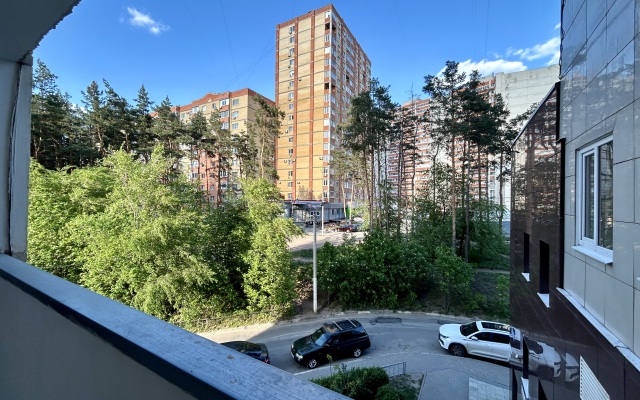 Квартира Уютная просторная однушка (55кв.) с АЛИСОЙ