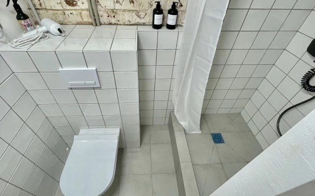 Studiya vo Fligele Starinnogo Doma Flat