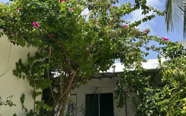 Lagoon Thoddoo Villa