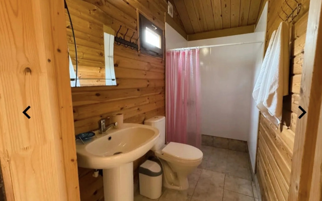 Afon House Mini hotel
