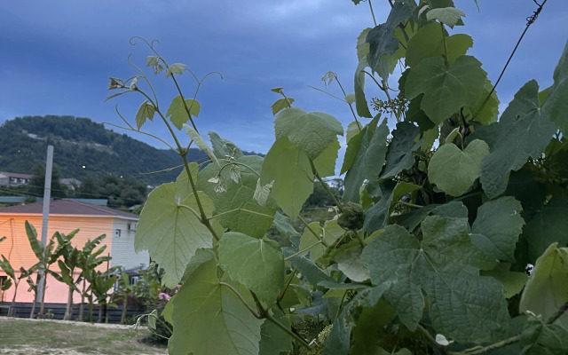 Topchyan 15 Guest house