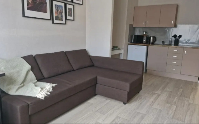 Квартира Студия на Елизаровской