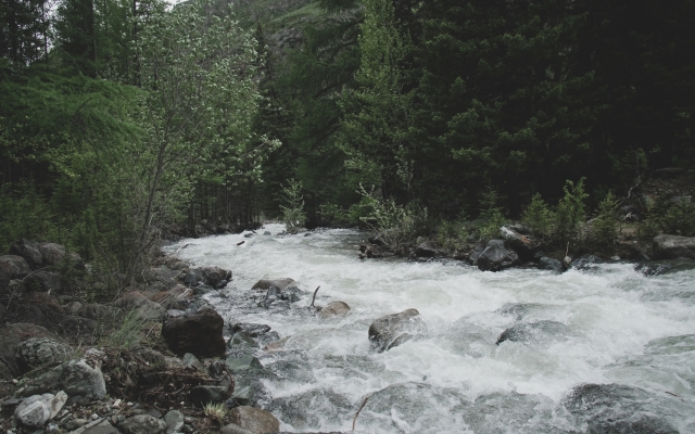 Апарт-отель Речные земли