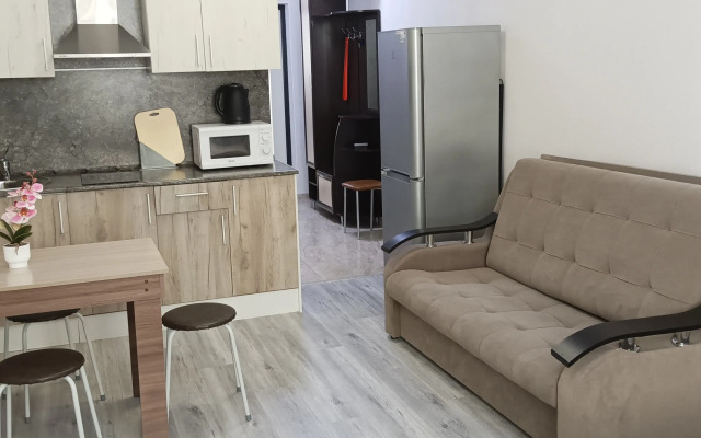 Na Vinogradnoy 22/1B Apartments