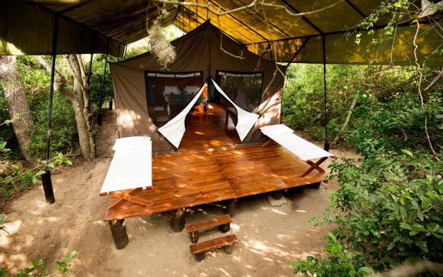 Кемпинг Wild Trails Yala Eco Camp by Yoho