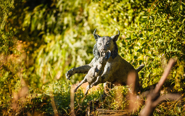 Отель Fonte Santa