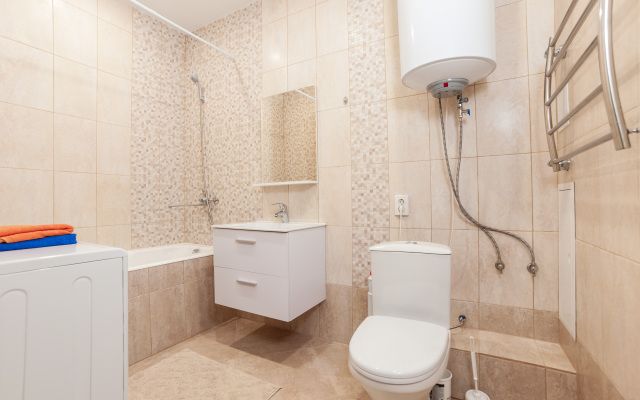 Uyutnyie Na Ligovskom Apartments