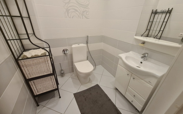 Апартаменты Шведская Крона трехкомнатные у Удельного Парка