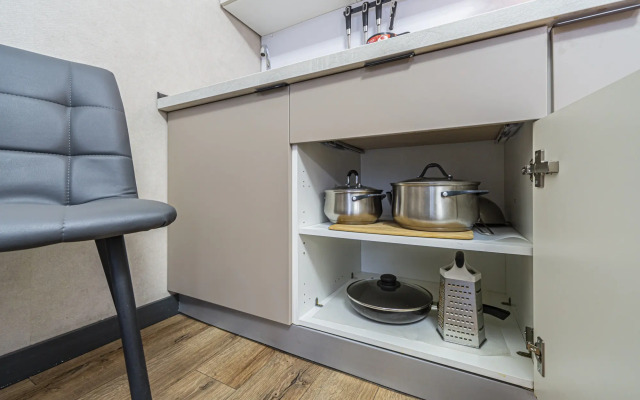 Sovremennaya Studiya U M. Pionerskaya Flat
