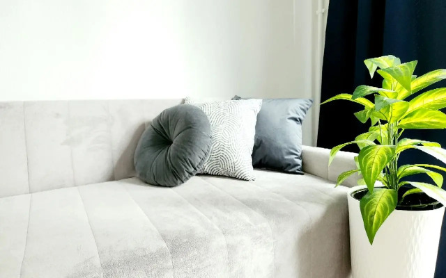 Runway Apartments Flat