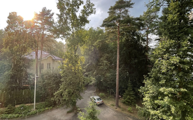 Квартира в центре Светлогорска