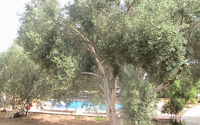 Villa Athina