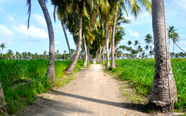 Holiday Grand Maldives Guest House